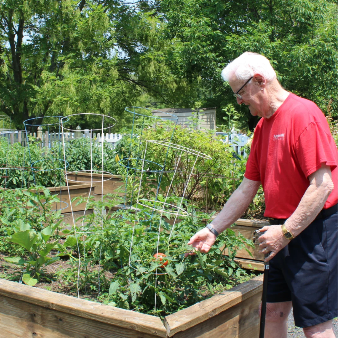 APPLEWOOD VILLAGE, INC