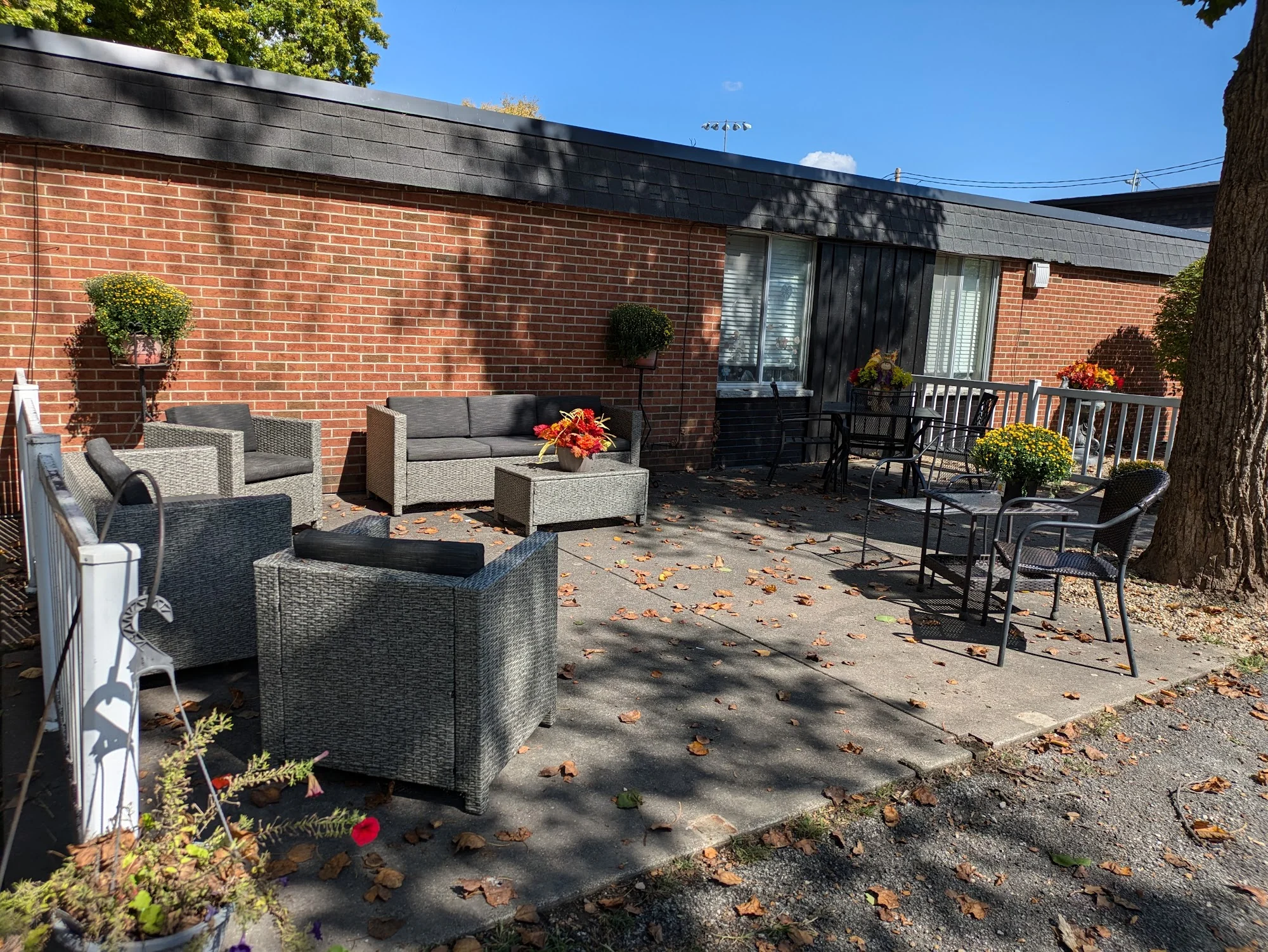 ARCADIA CARE AUBURN