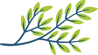 ARISTOCRAT BEREA HEALTHCARE AND REHABILITATION