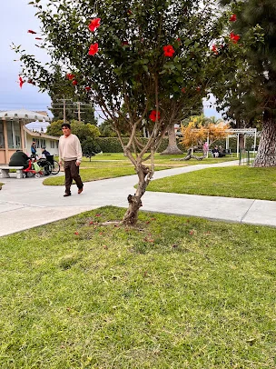 ARTESIA PALMS CARE CENTER