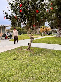 ARTESIA PALMS CARE CENTER