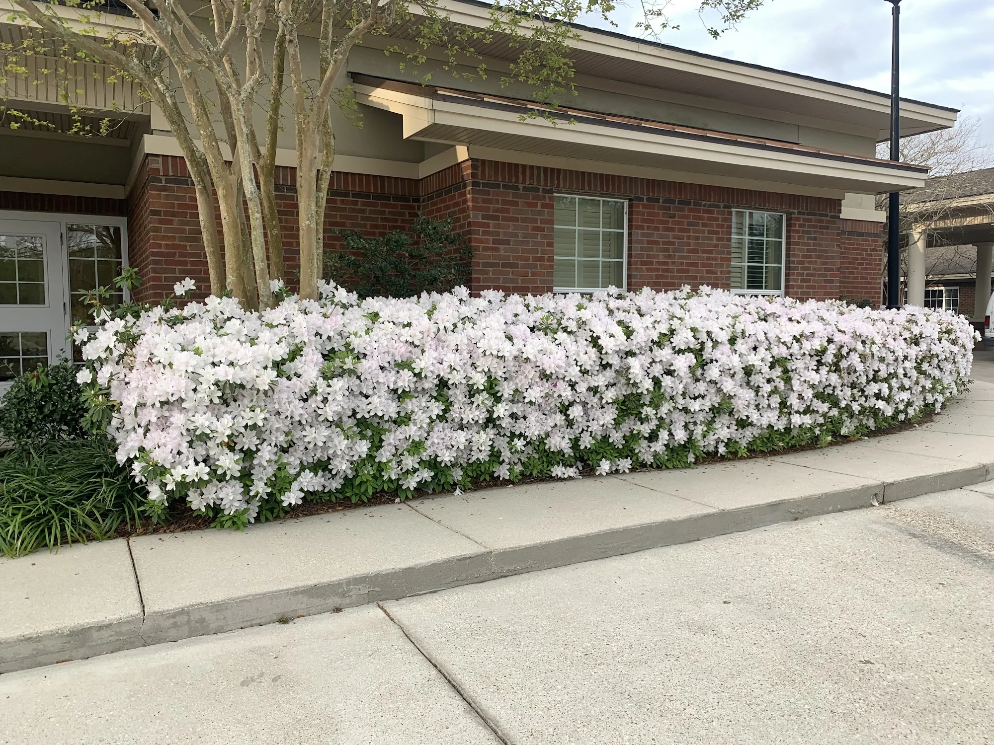 ASCENSION OAKS NURSING & REHAB CENTER