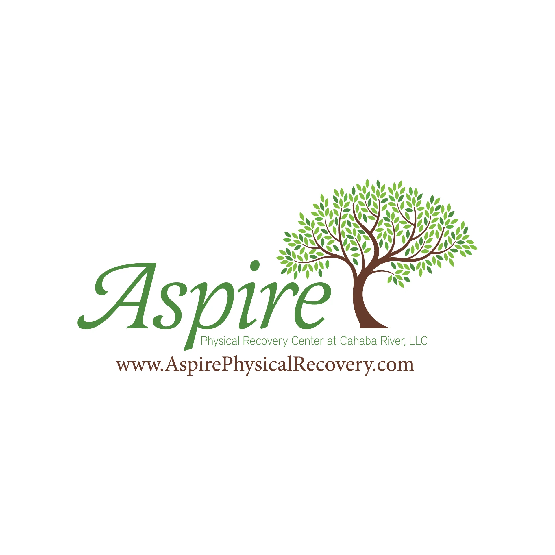ASPIRE PHYSICAL RECOVERY CENTER AT CAHABA RIVER