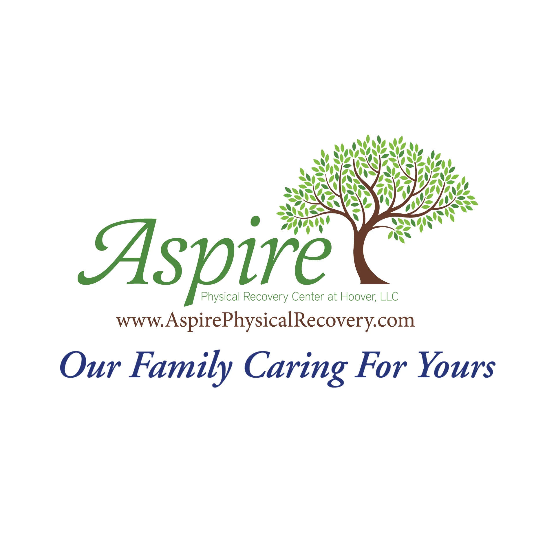 ASPIRE PHYSICAL RECOVERY CENTER AT HOOVER, LLC