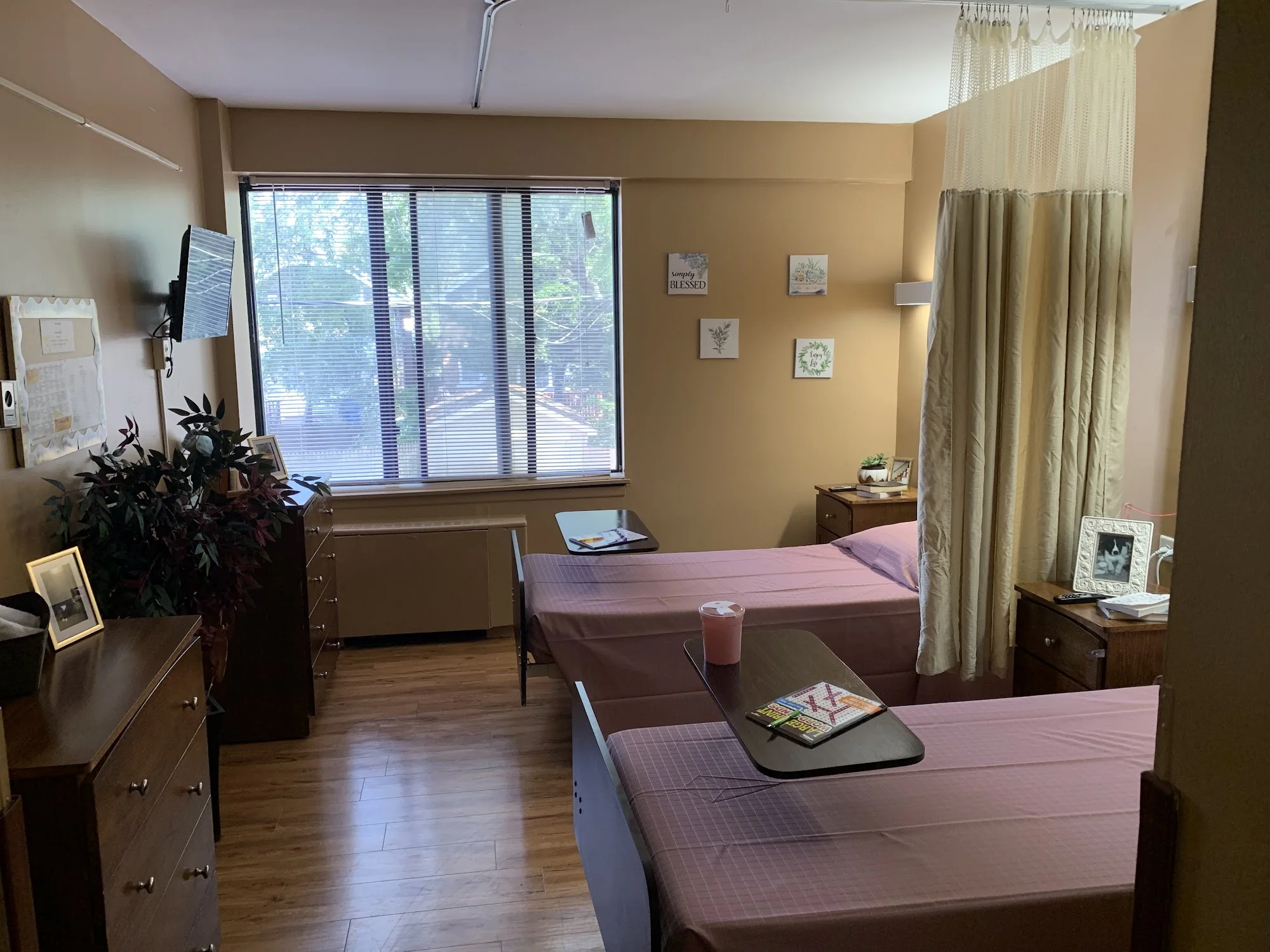 AUSTIN OASIS, THE