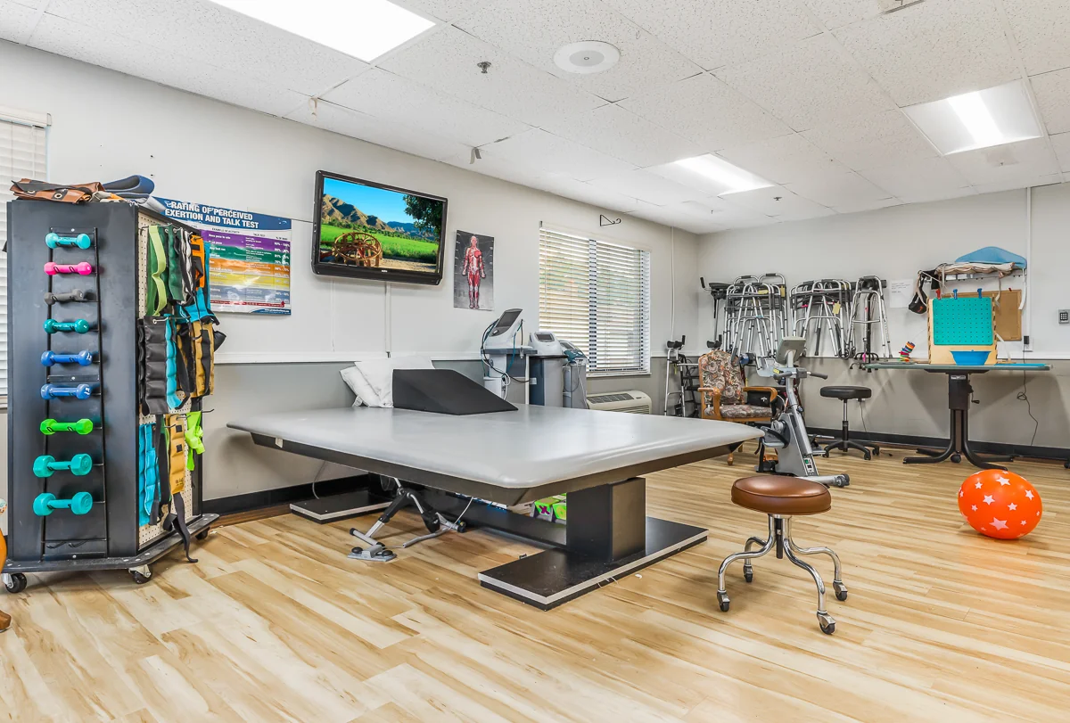 AUTUMN LAKE HEALTHCARE AT BIRCH MANOR