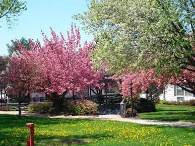 AUTUMN LAKE HEALTHCARE AT BRADDOCK HEIGHTS