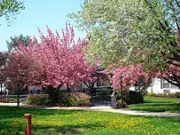 AUTUMN LAKE HEALTHCARE AT BRADDOCK HEIGHTS