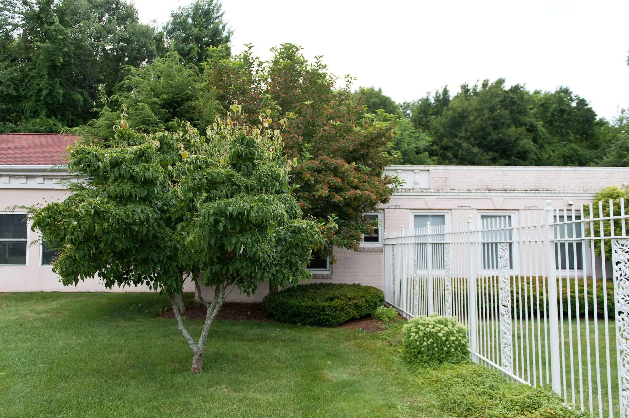 AUTUMN LAKE HEALTHCARE AT BUCKS HILL