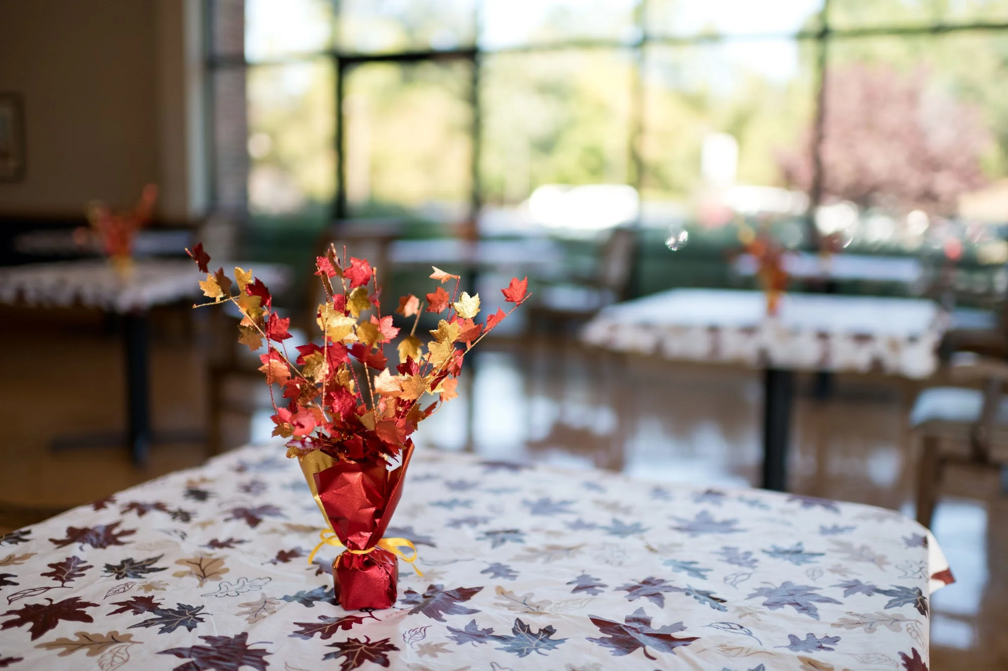 AUTUMN LAKE HEALTHCARE AT CHERRY LANE