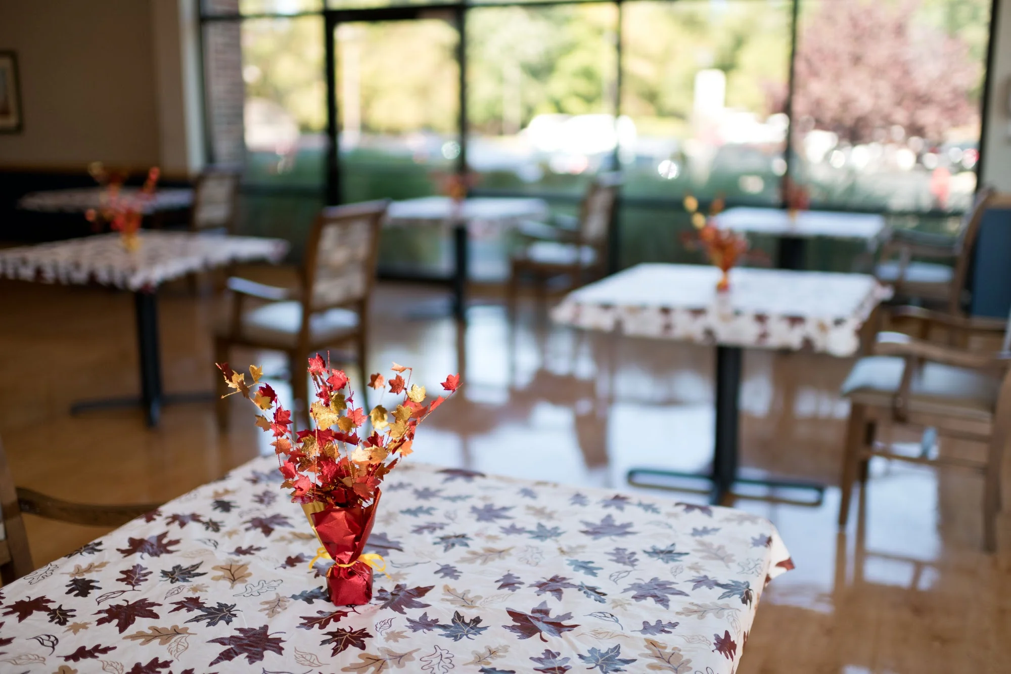 AUTUMN LAKE HEALTHCARE AT CHERRY LANE