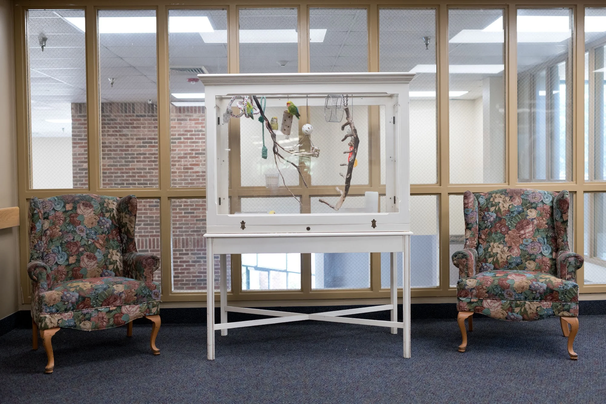 AUTUMN LAKE HEALTHCARE AT CHERRY LANE
