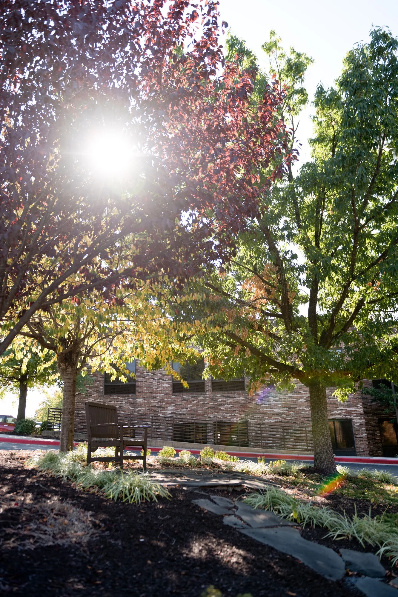 AUTUMN LAKE HEALTHCARE AT CHERRY LANE