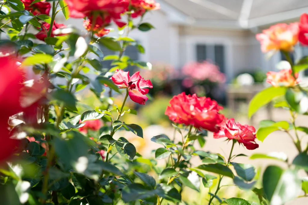 AUTUMN LAKE HEALTHCARE AT GLADE VALLEY