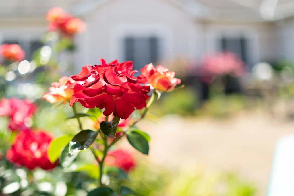 AUTUMN LAKE HEALTHCARE AT GLADE VALLEY