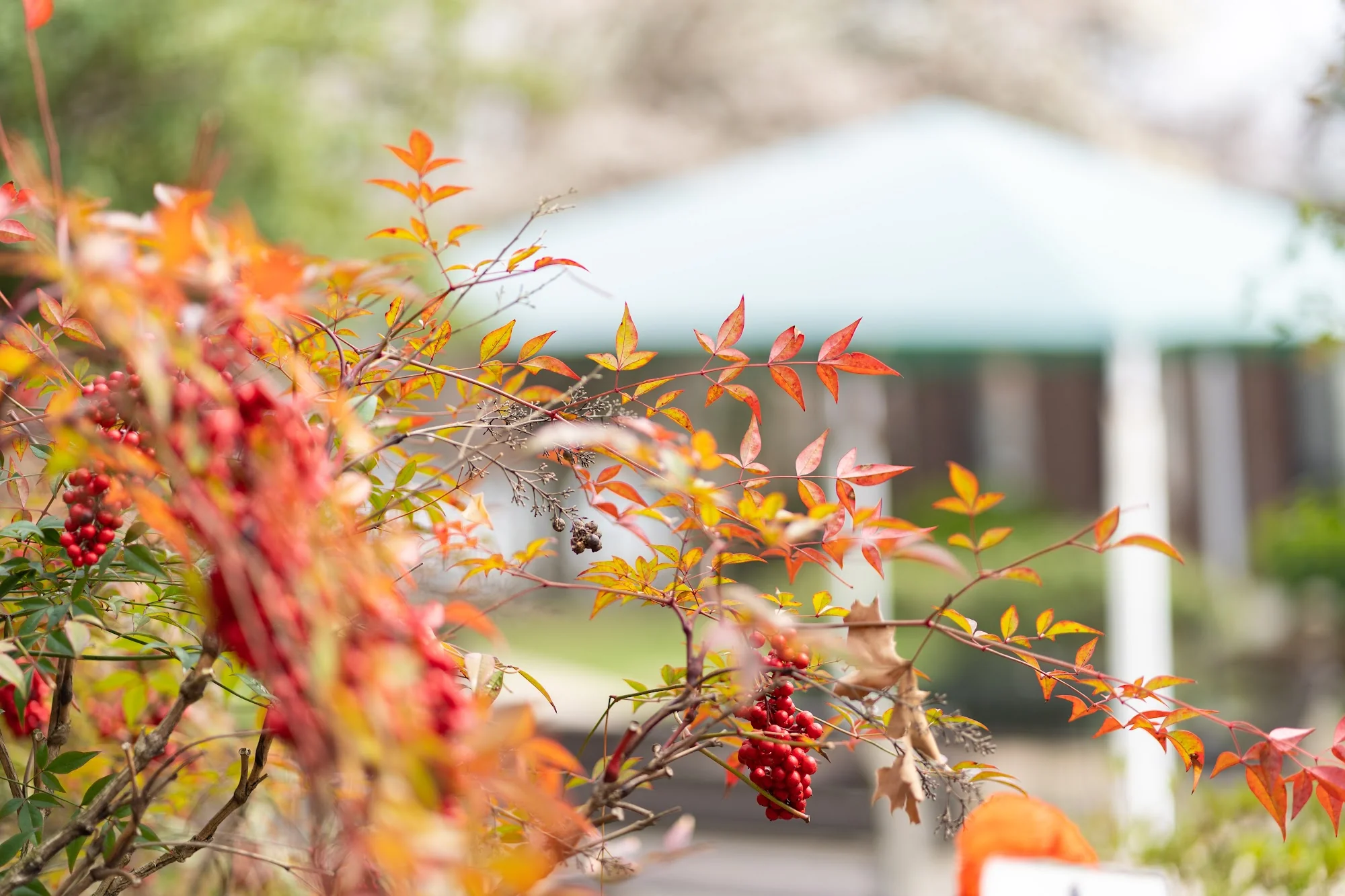 AUTUMN LAKE HEALTHCARE AT HOMEWOOD