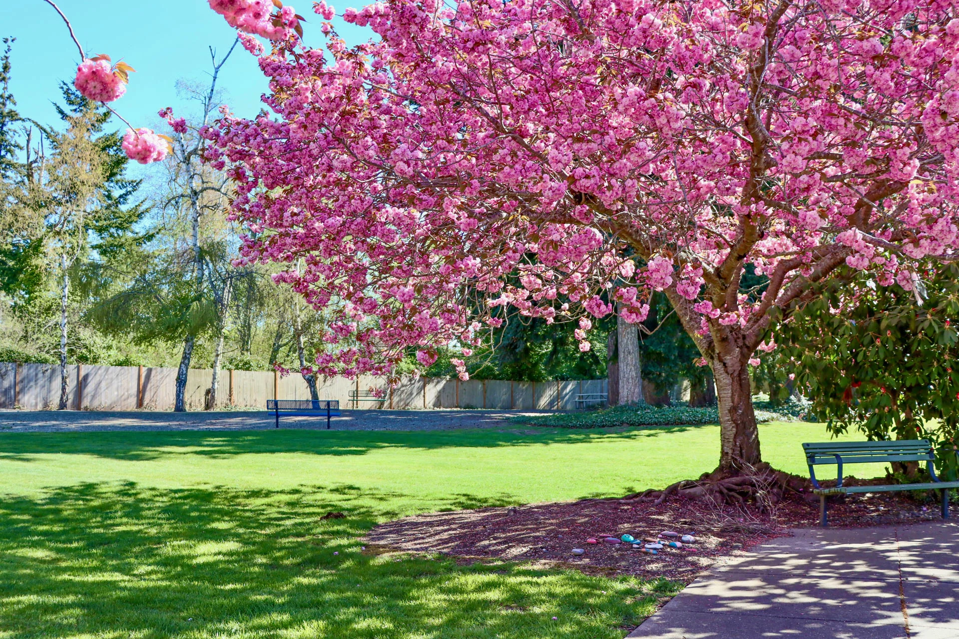 AVALON HEALTHCARE BELLINGHAM