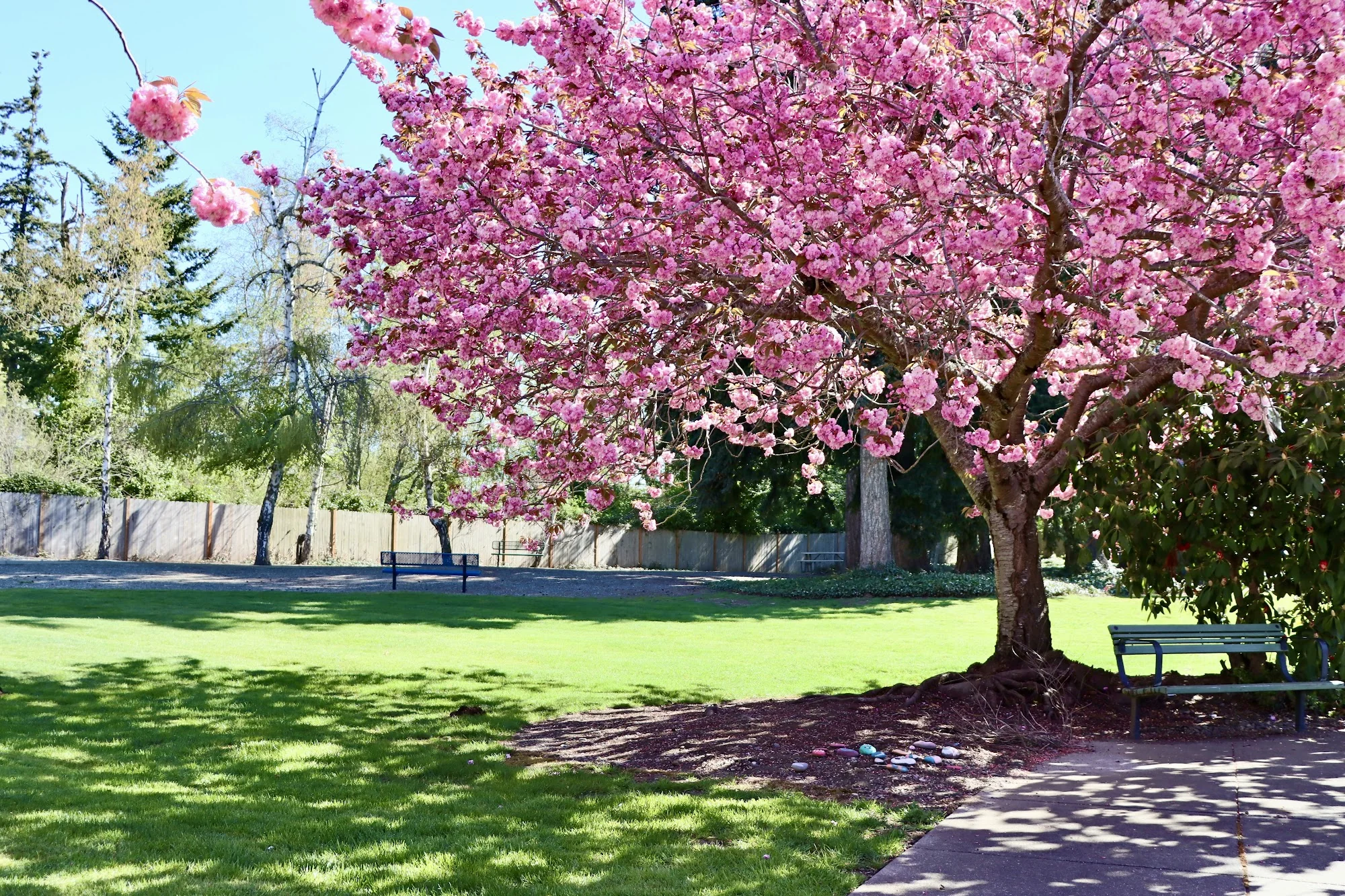 AVALON HEALTHCARE BELLINGHAM
