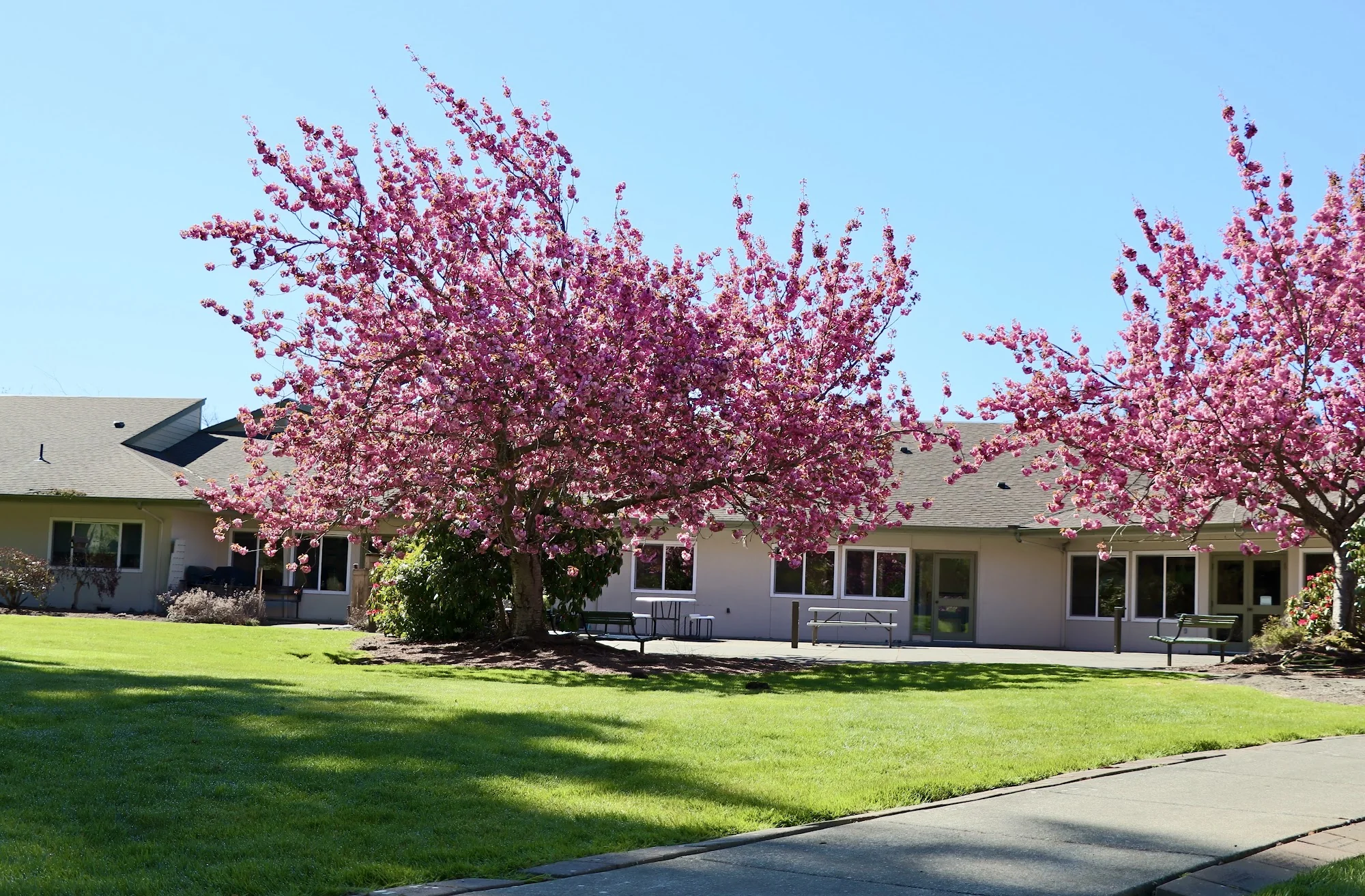 AVALON HEALTHCARE BELLINGHAM