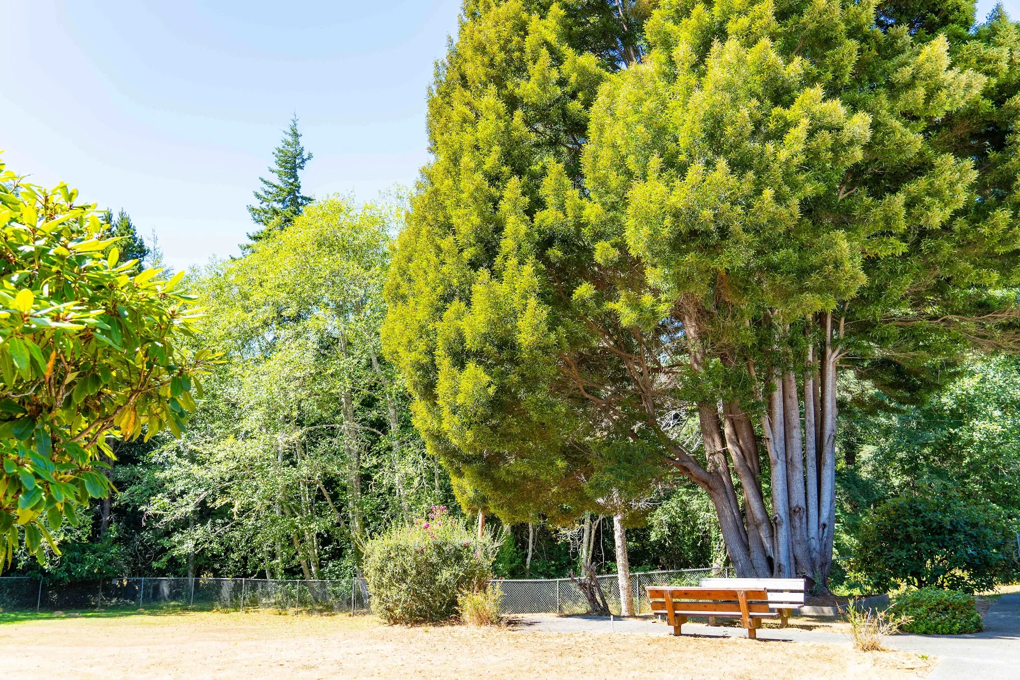 AVAMERE REHABILITATION OF COOS BAY
