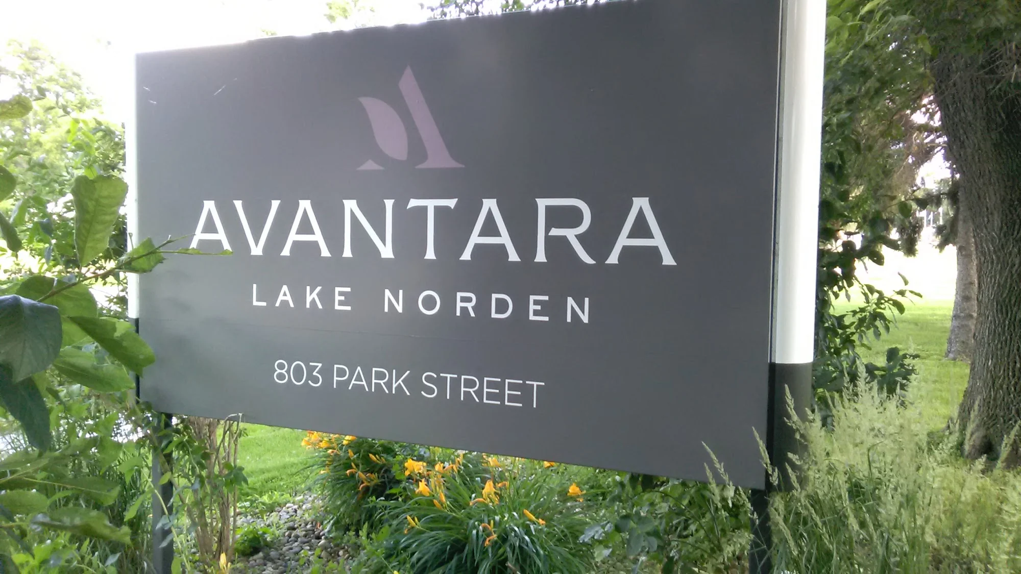 AVANTARA LAKE NORDEN
