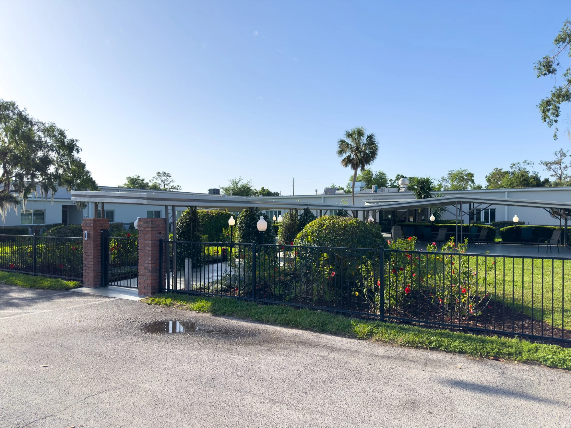 AVANTE AT MT DORA, INC