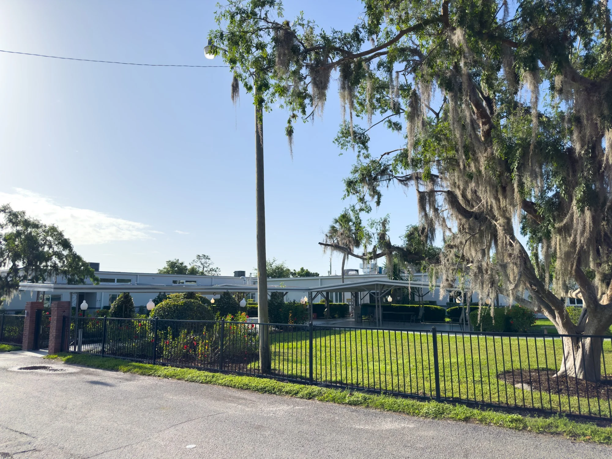 AVANTE AT MT DORA, INC