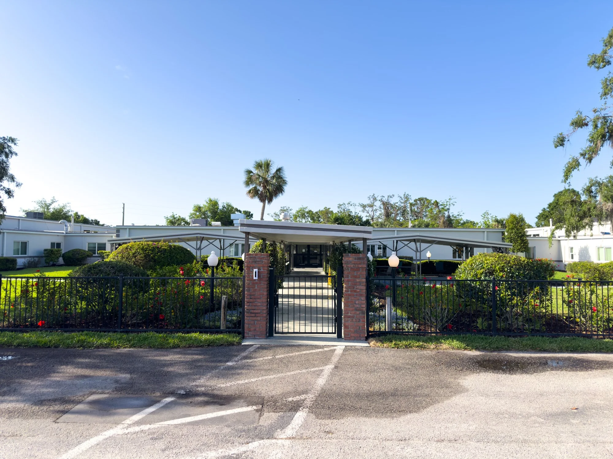 AVANTE AT MT DORA, INC
