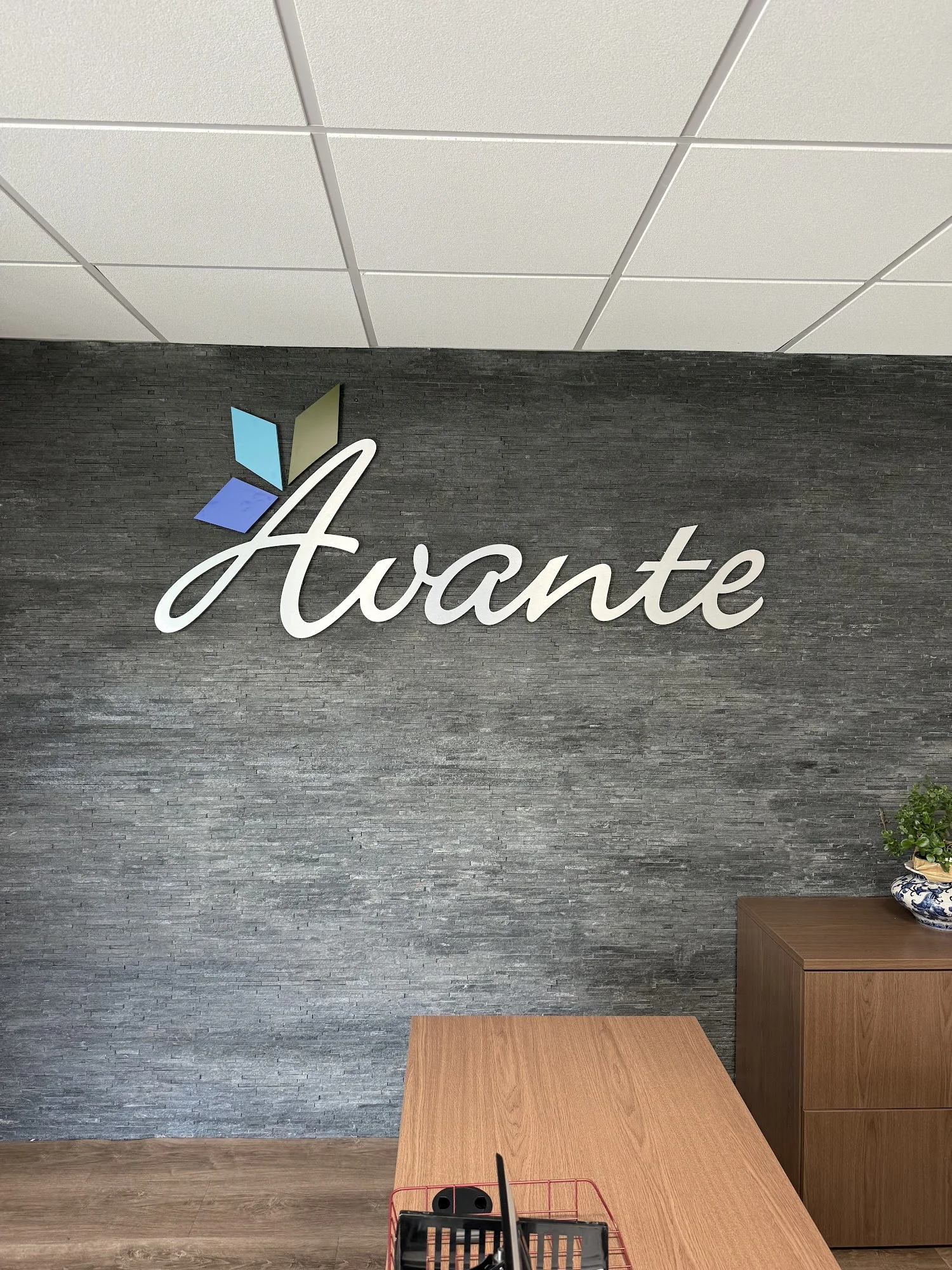 AVANTE AT MT DORA, INC