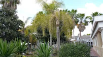 AVIATA AT SARASOTA