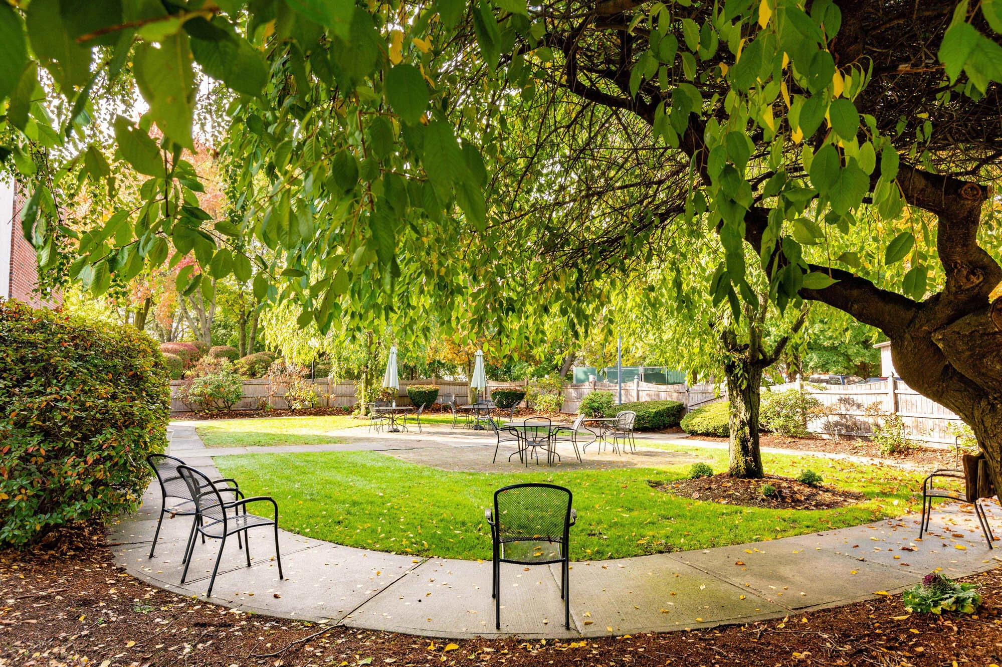 BEAR HILL HEALTHCARE AND REHABILITATION CENTER