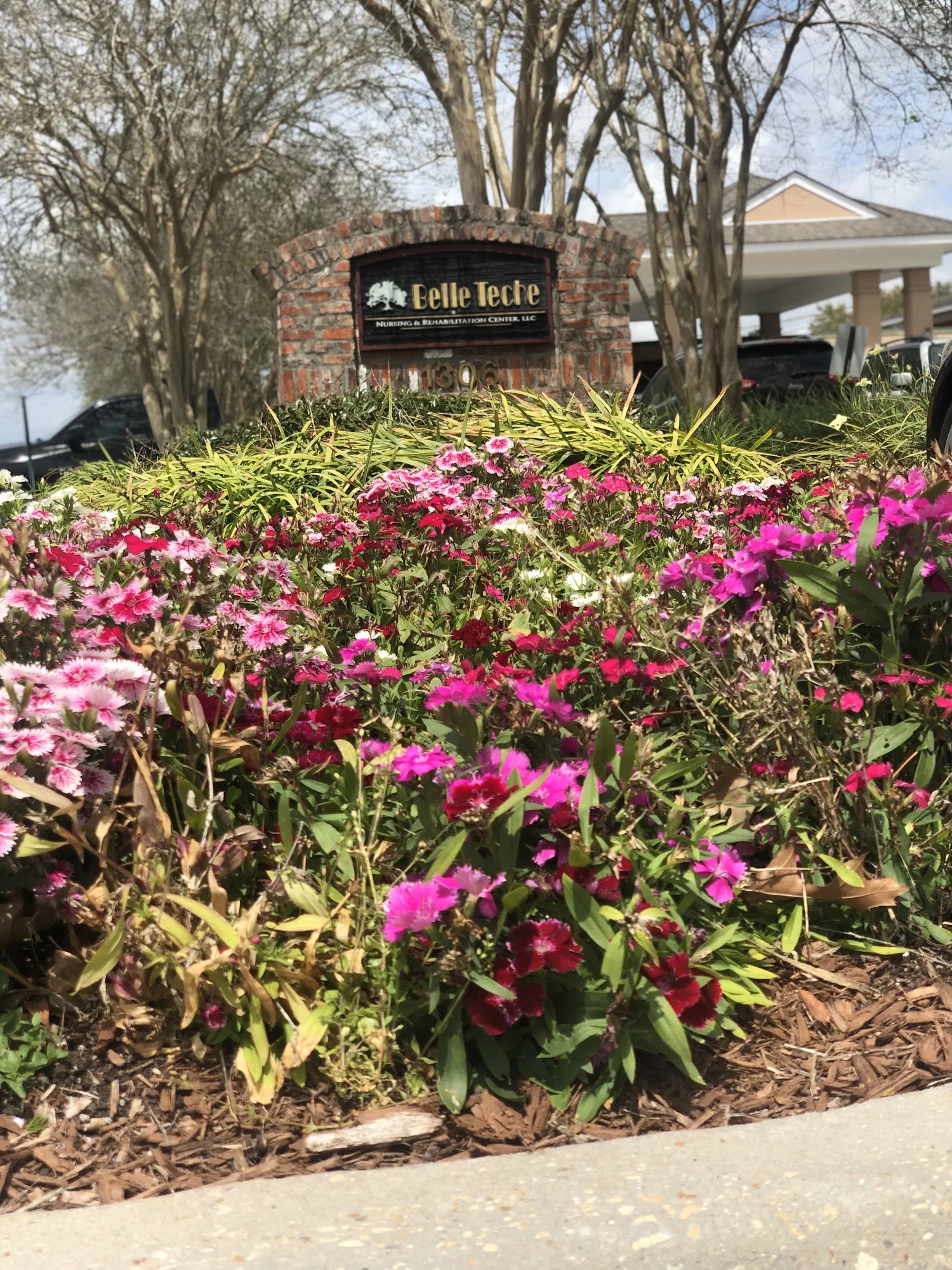 BELLE TECHE NURSING & REHAB CENTER