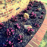 BELLEVUE HEALTH & REHABILITATION CENTER
