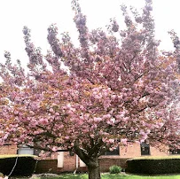 BERKSHIRE NURSING & REHABILITATION CENTER