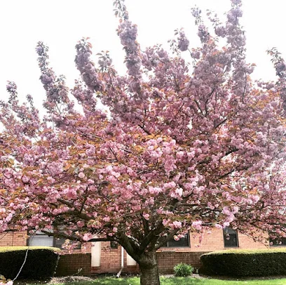 BERKSHIRE NURSING & REHABILITATION CENTER