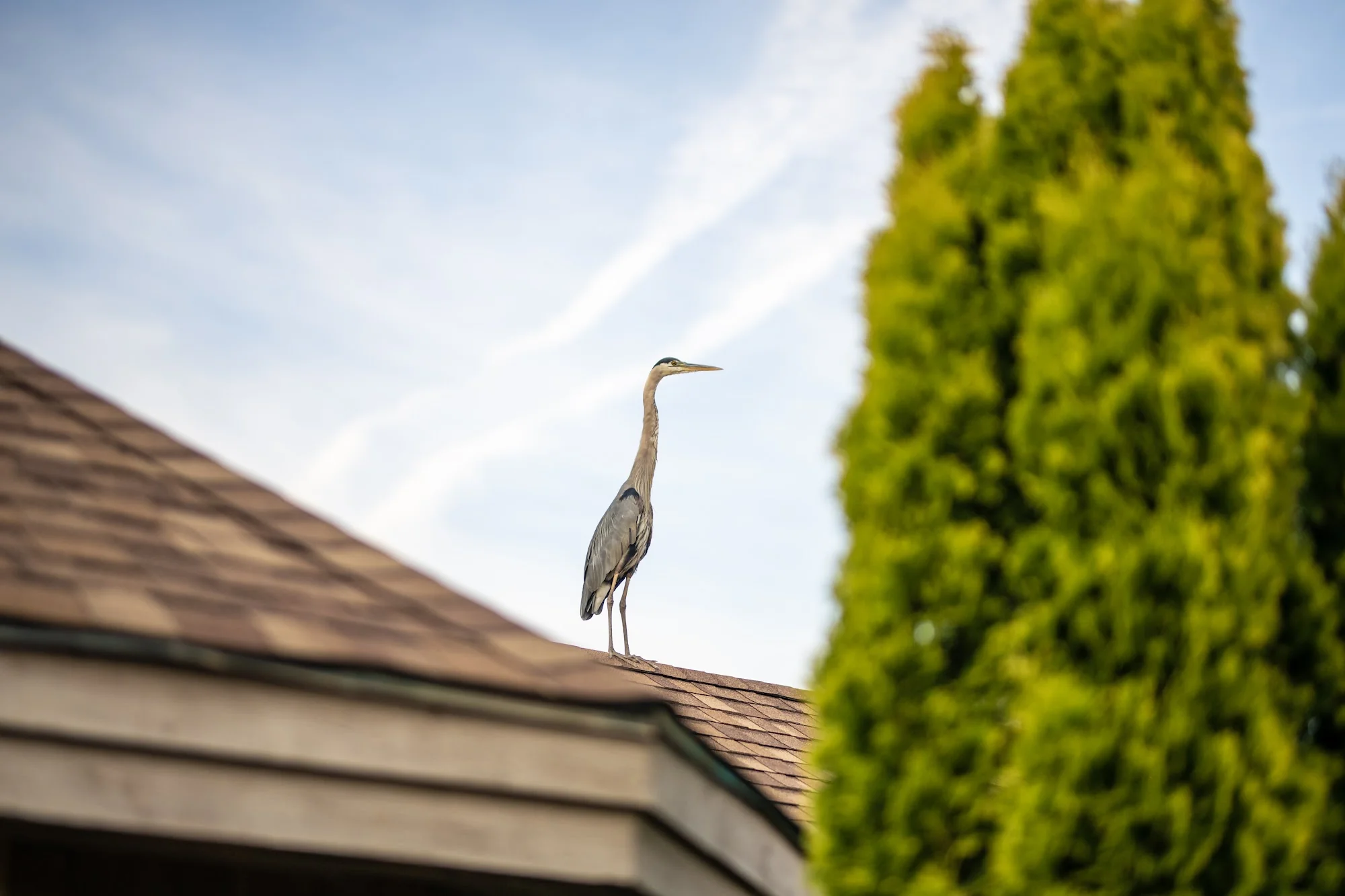 BERMUDA VILLAGE RETIREMENT CENTER