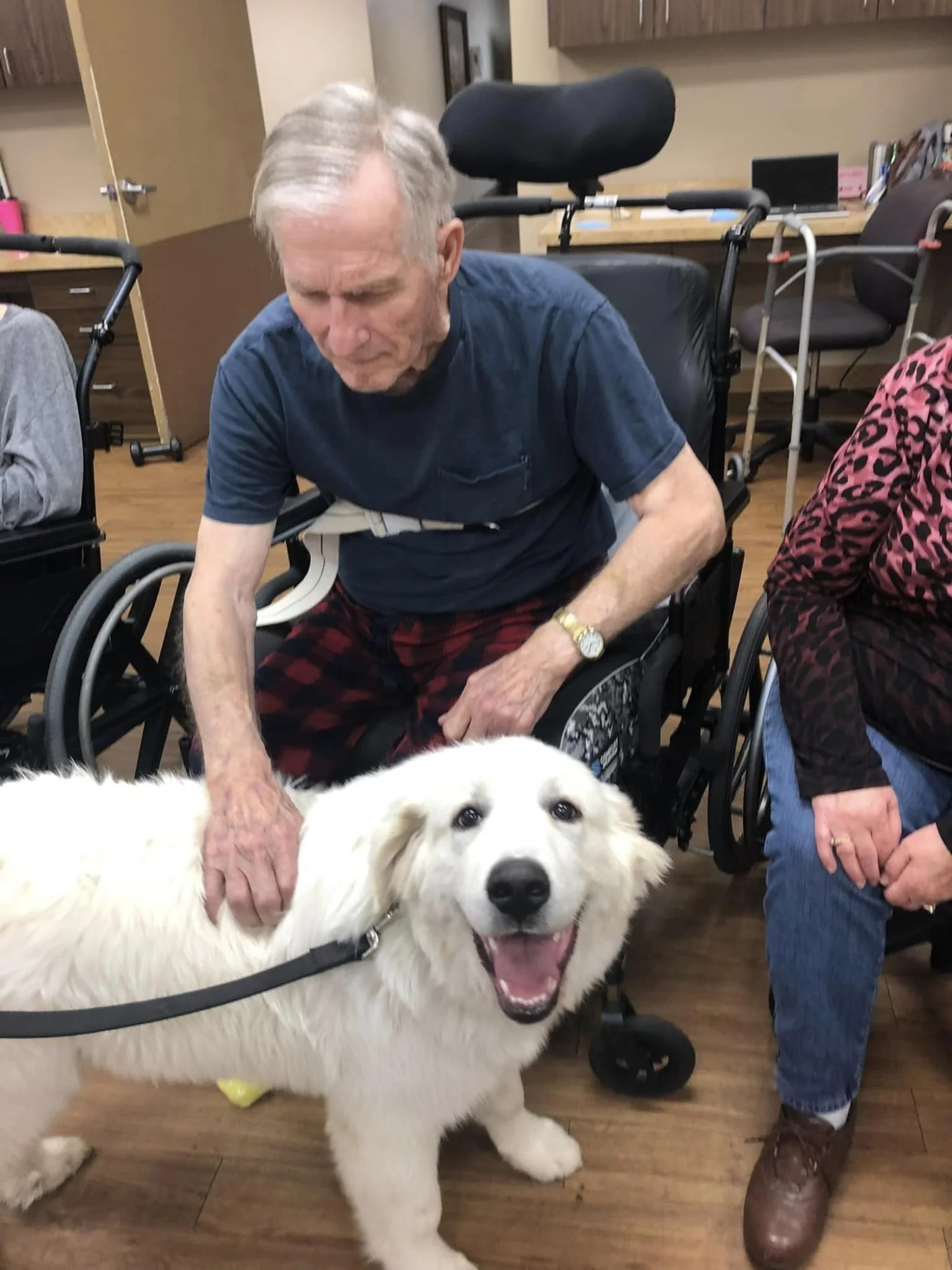 BEST CARE HEALTH AND REHABILITATION