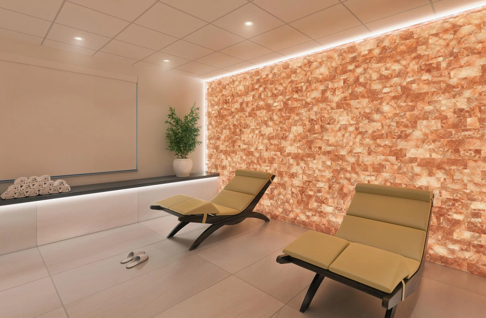 BETH ABRAHAM CENTER FOR REHABILITATION AND NURSING