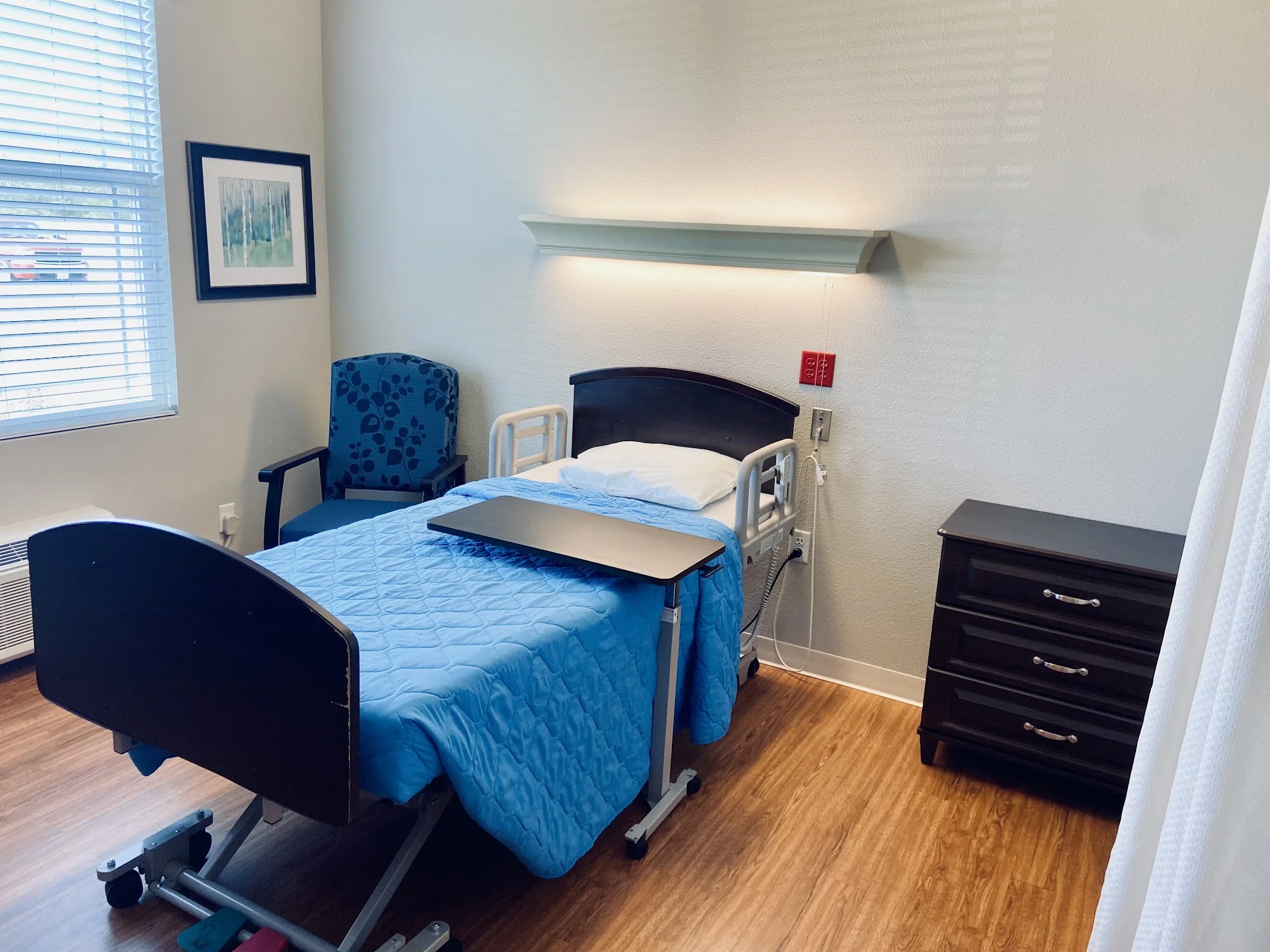 BLUEBONNET POINT WELLNESS