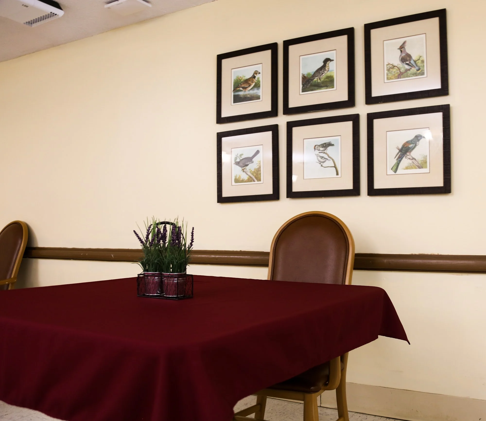 BOLINGREEN HEALTH AND REHABILITATION