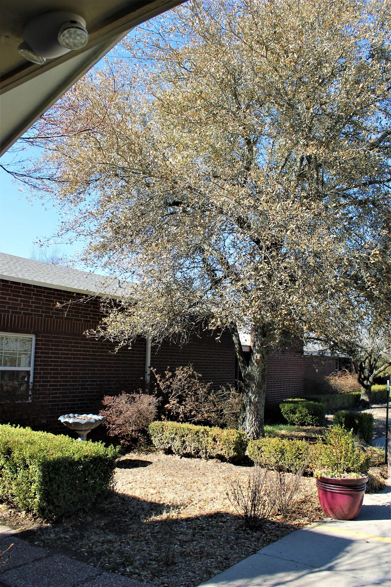 BRENTWOOD EXTENDED CARE & REHAB