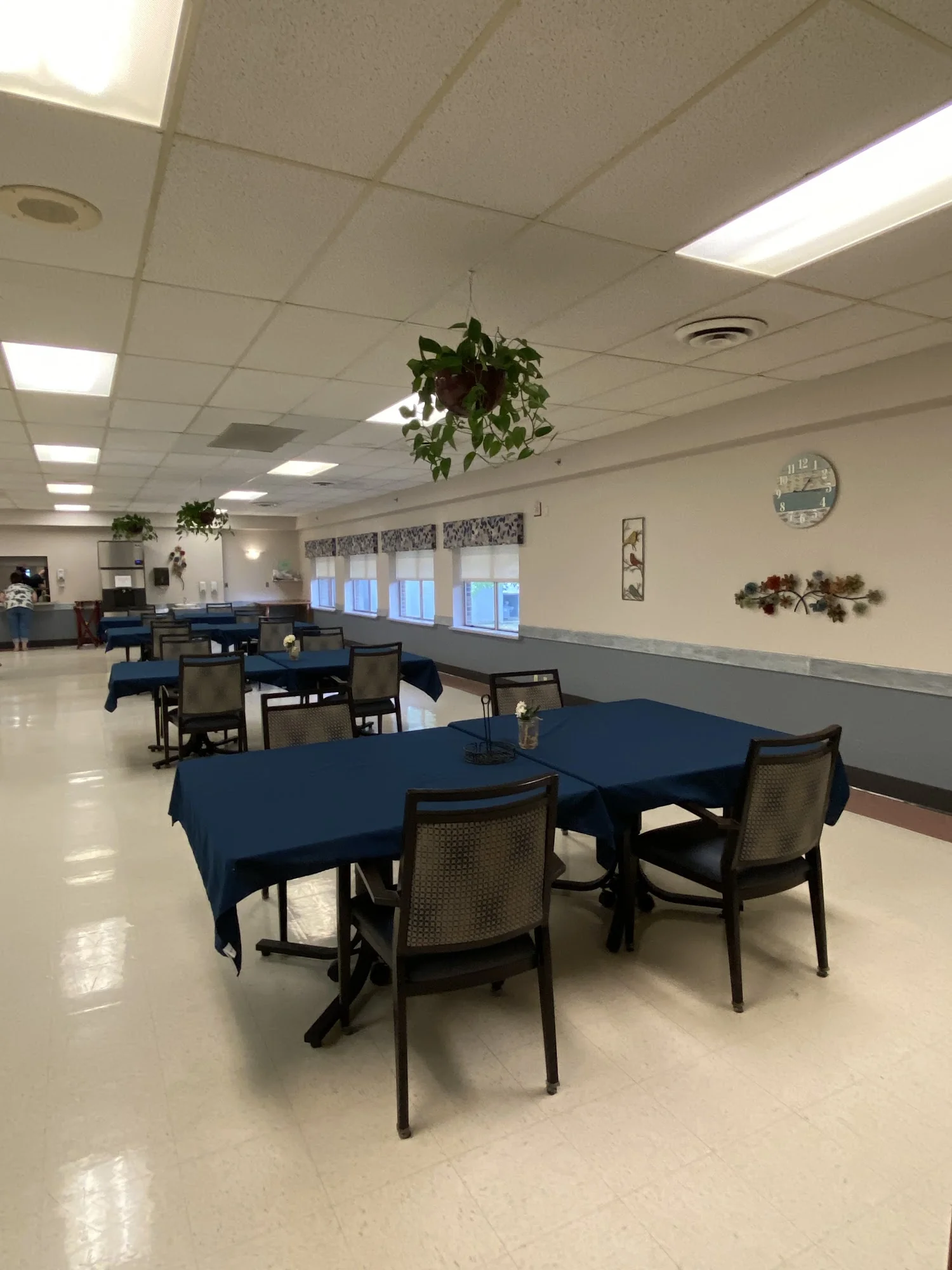 BRICKYARD HEALTHCARE -SYCAMORE VILLAGE CARE CENTER