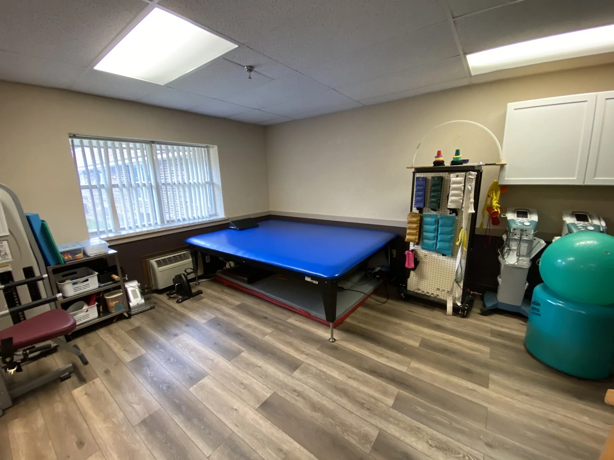 BRICKYARD HEALTHCARE -SYCAMORE VILLAGE CARE CENTER