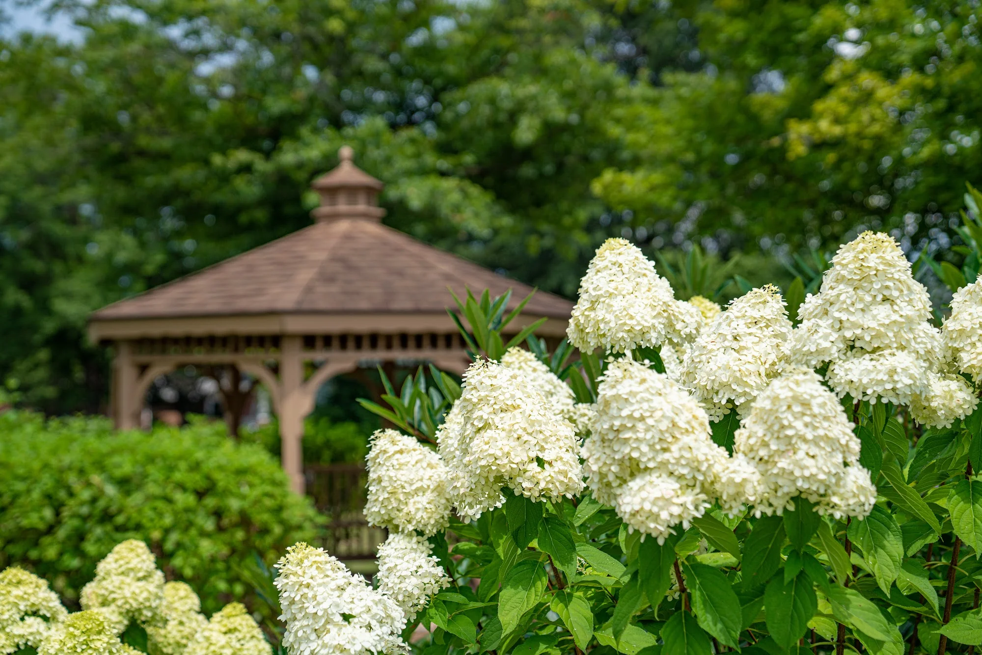BRIDGEWATER HOME , INC.