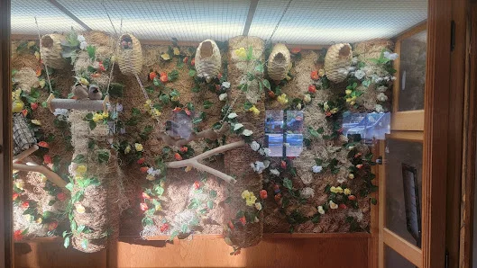 BRIGHTON CARE CENTER