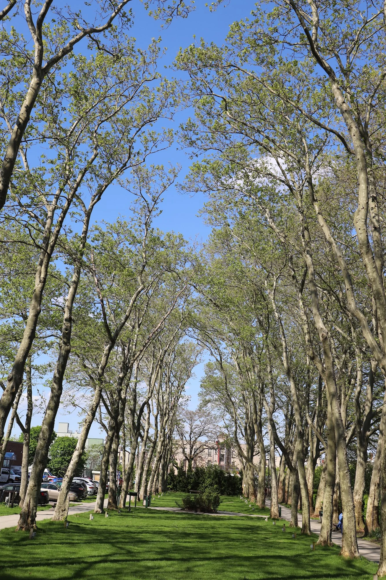BRONX GARDENS REHABILITATION AND NURSING CENTER