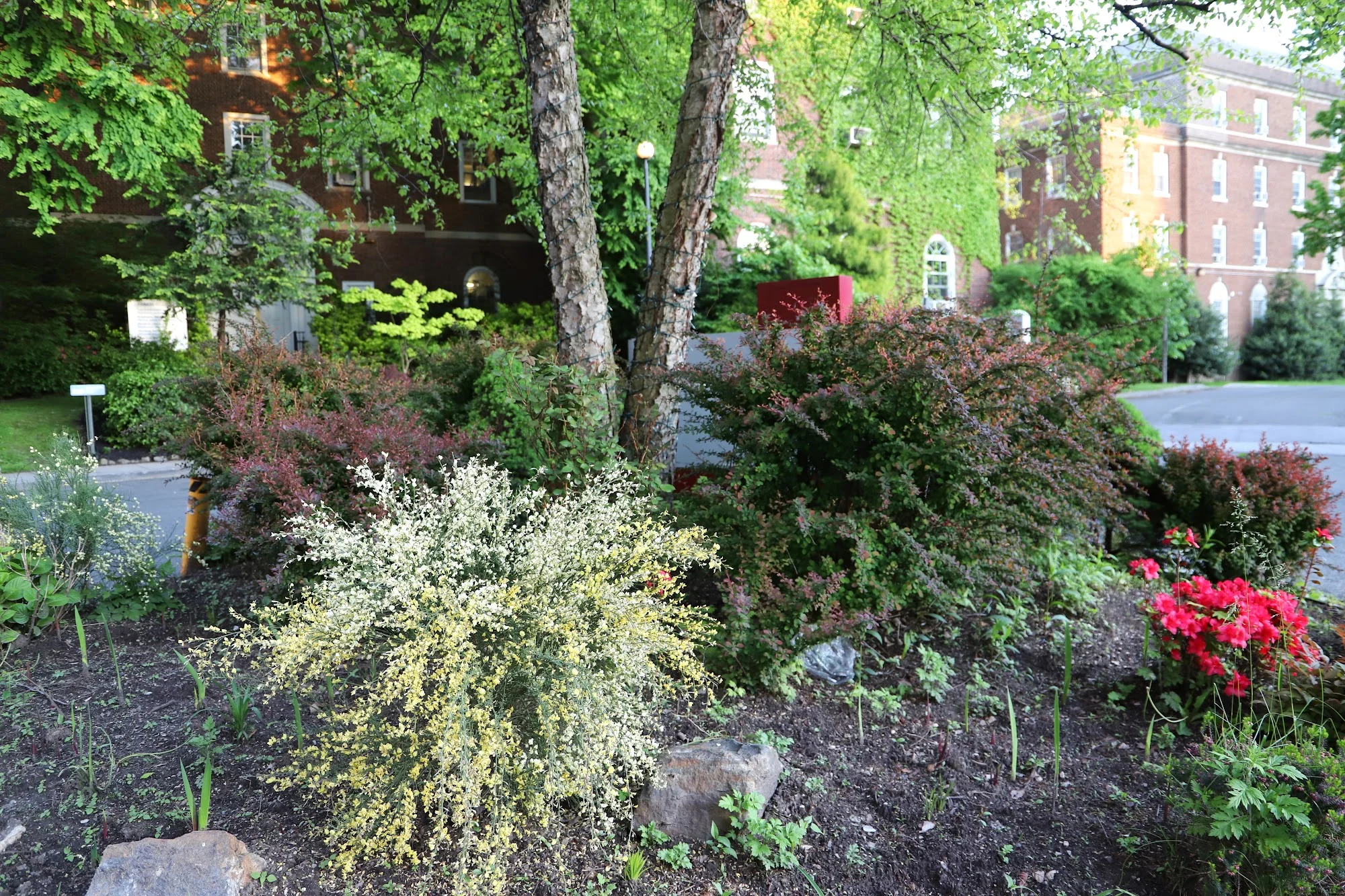 BRONX GARDENS REHABILITATION AND NURSING CENTER