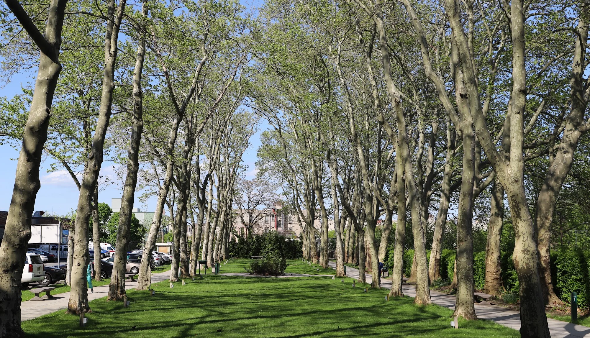 BRONX GARDENS REHABILITATION AND NURSING CENTER
