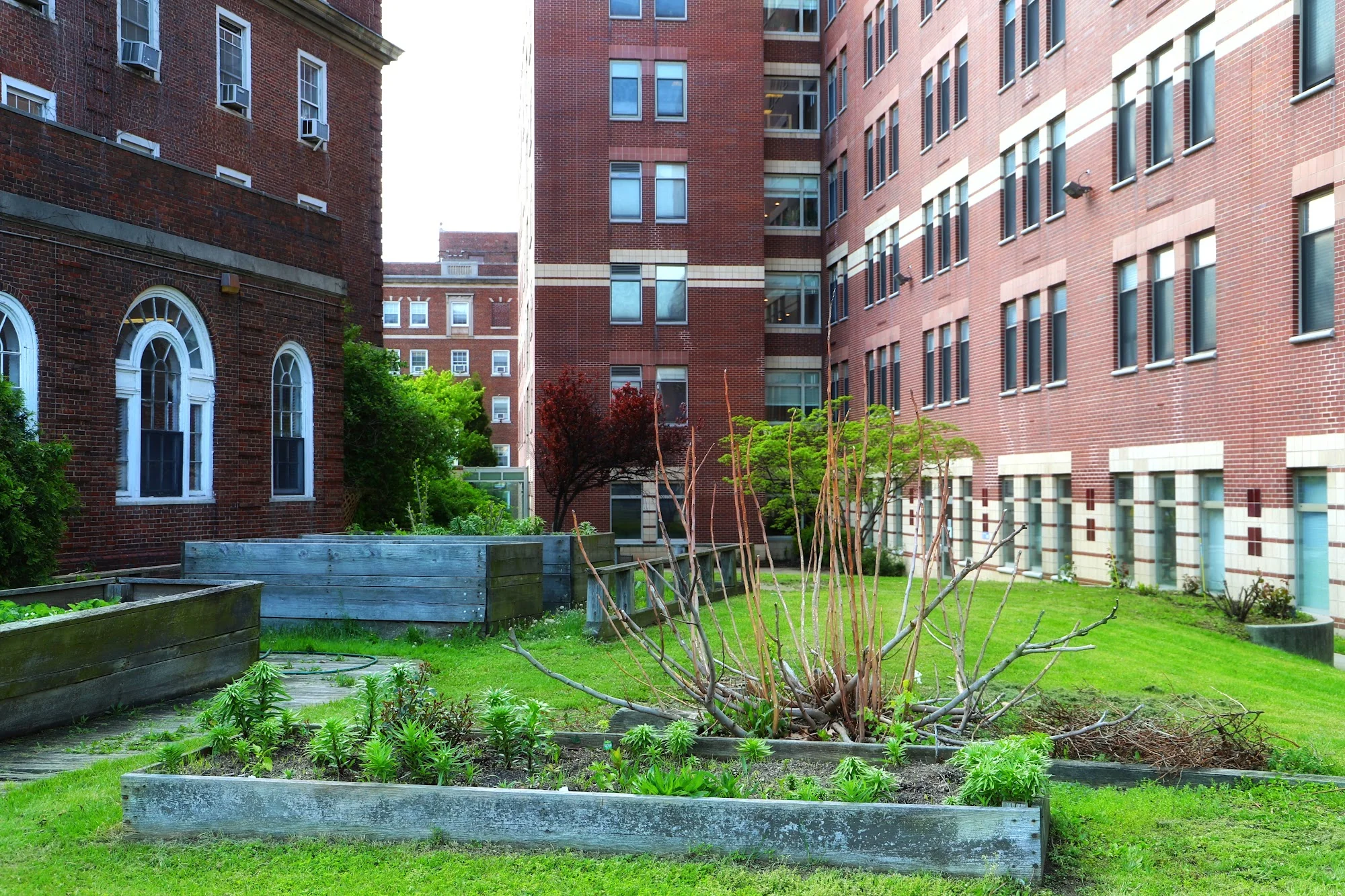 BRONX GARDENS REHABILITATION AND NURSING CENTER