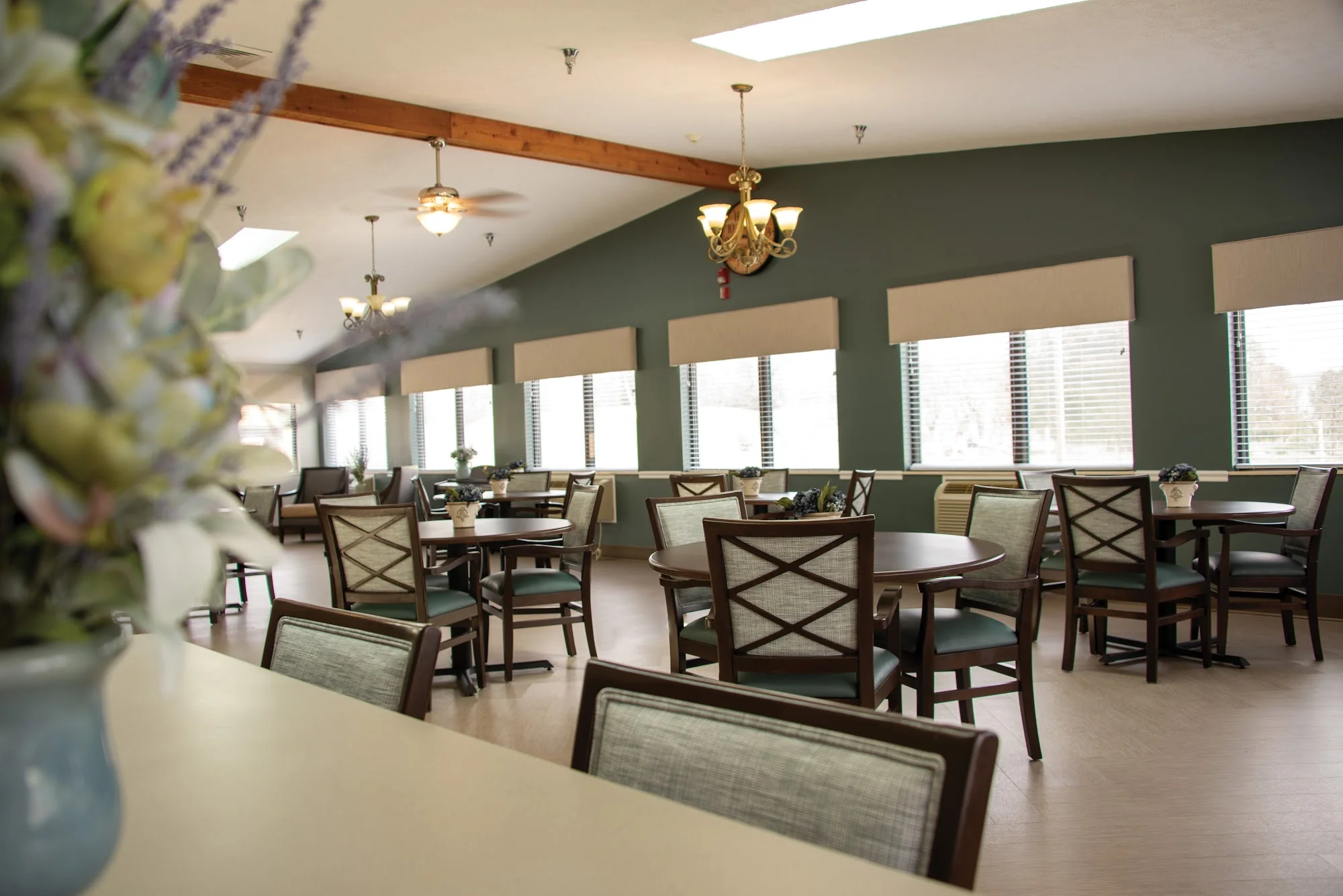 BROWN COUNTY HEALTH AND LIVING COMMUNITY